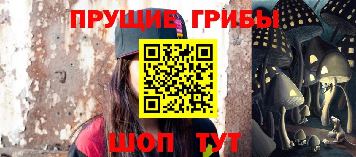 Псилоцибиновые грибы Psilocybe  Вход с VPN  магазин продажи наркотиков  Стрежевой  Галлюциногенные грибы Cubensis 