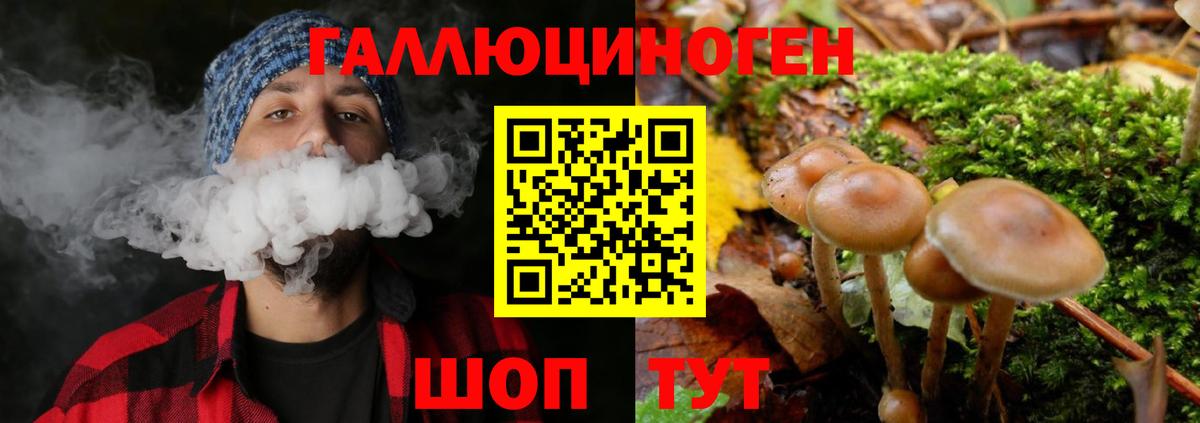 Галлюциногенные грибы Magic Shrooms Стрежевой